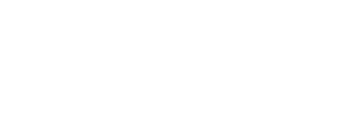 Northrop Grumman white logo